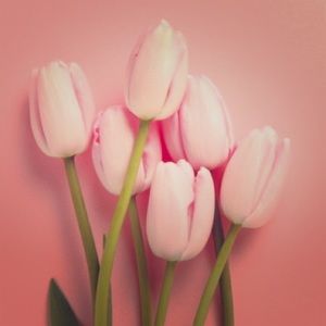 Meet your Posher, Tina